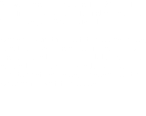 Wir weisen ausdrücklich auf Ihr Widerruf hin. Hier finden Sie auch Informationen zu der Verkürzung der Widerrufsfrist. Wenn wir sofort für Sie tätig werden sollen, benötigen wir nach dem neuen Ver-braucherrecht die Bestätigung der nebenstehenden drei Punkte. Falls Sie diese Punkte nicht anwählen, können wir erst in 2 Wochen für Sie tätig werden.